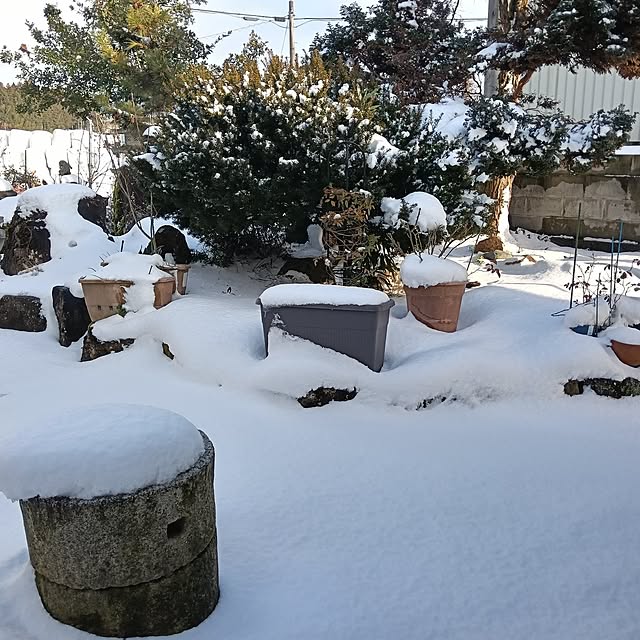 sumimarumiさんの部屋