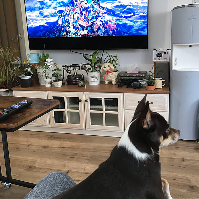 nacchintunnさんの実例写真
