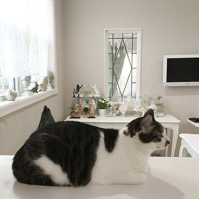 yuchiさんの実例写真