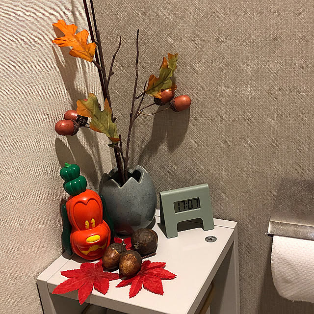 usagisanさんの実例写真