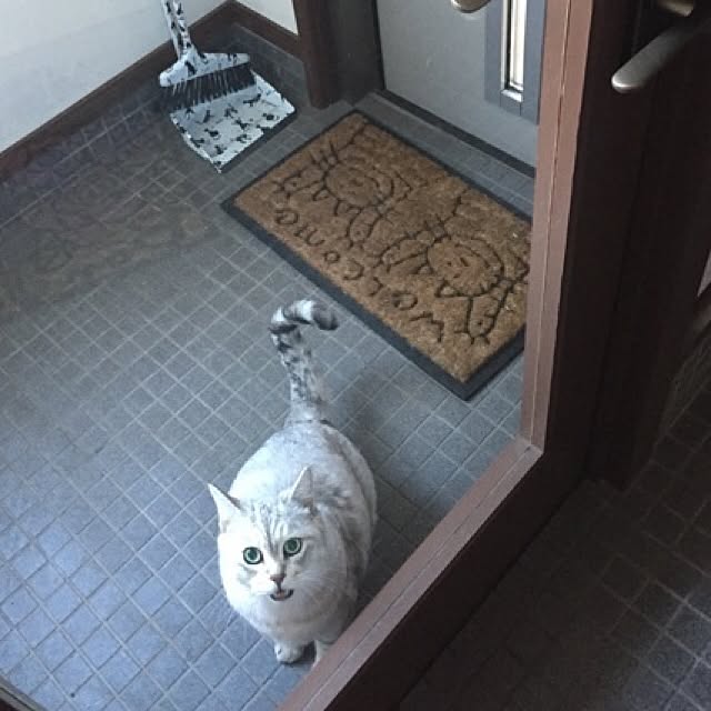 cocomamaさんの実例写真
