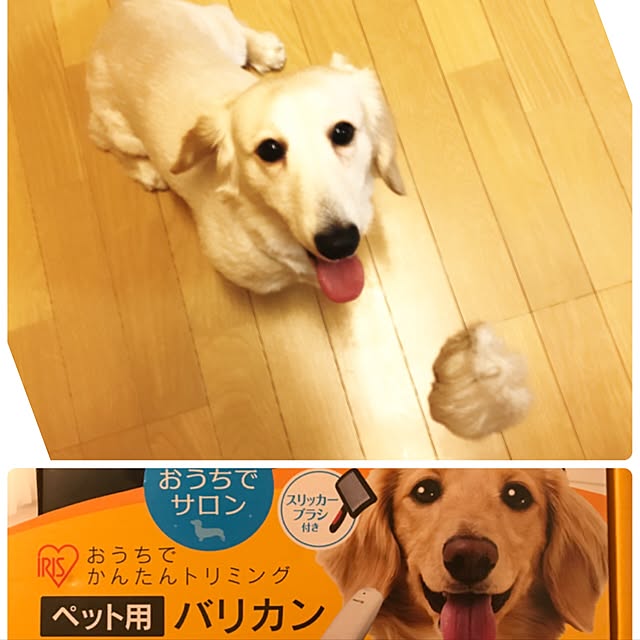 tmさんの実例写真