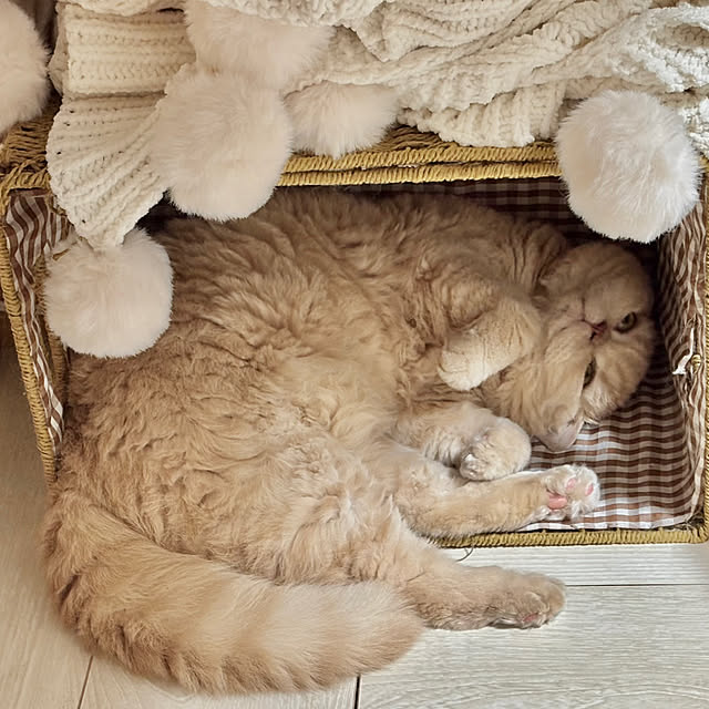 naokoさんの部屋