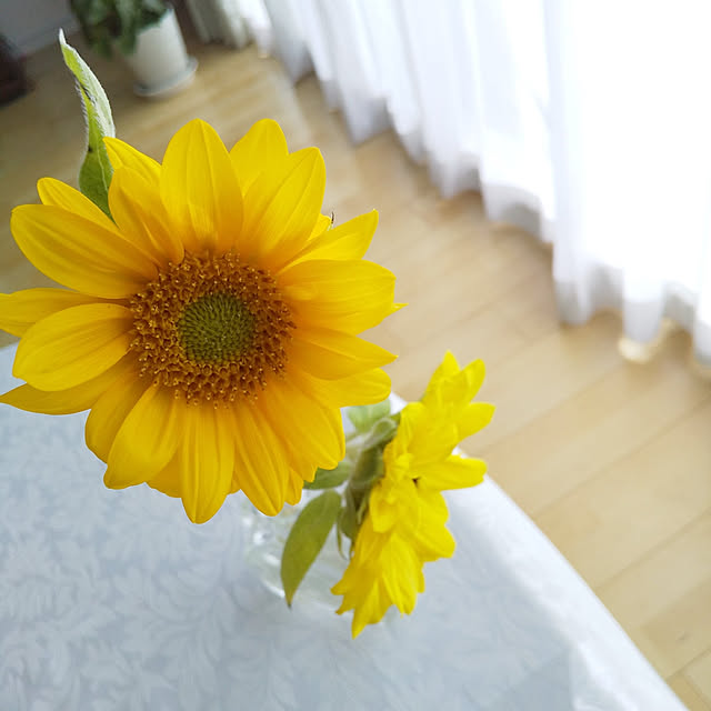 sawa.rararaさんの実例写真