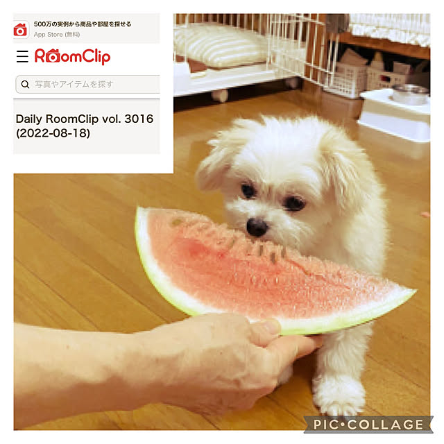 Kekoponさんの実例写真