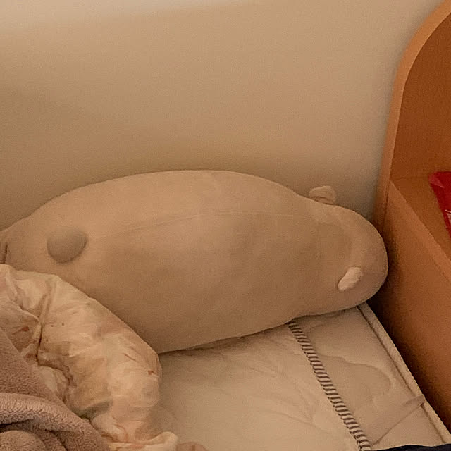 okaさんの実例写真