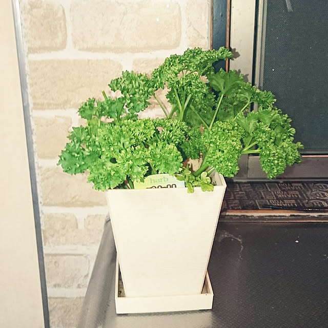 mintさんの実例写真