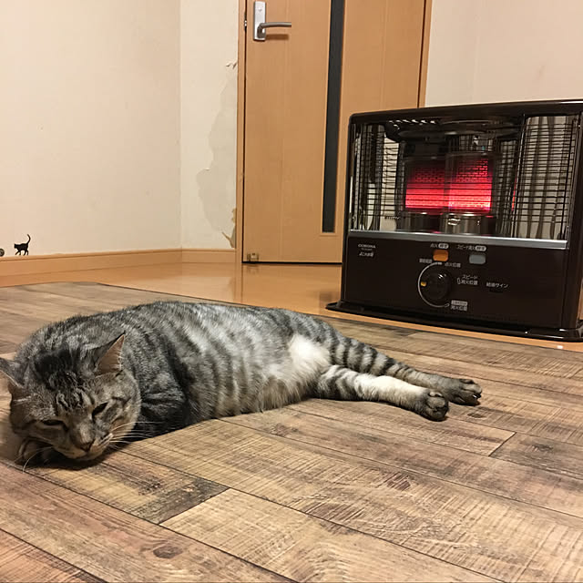 junbuさんの実例写真