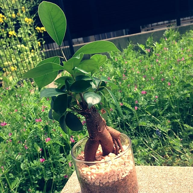 yu_tさんの実例写真