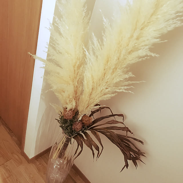 n.yasuさんの実例写真