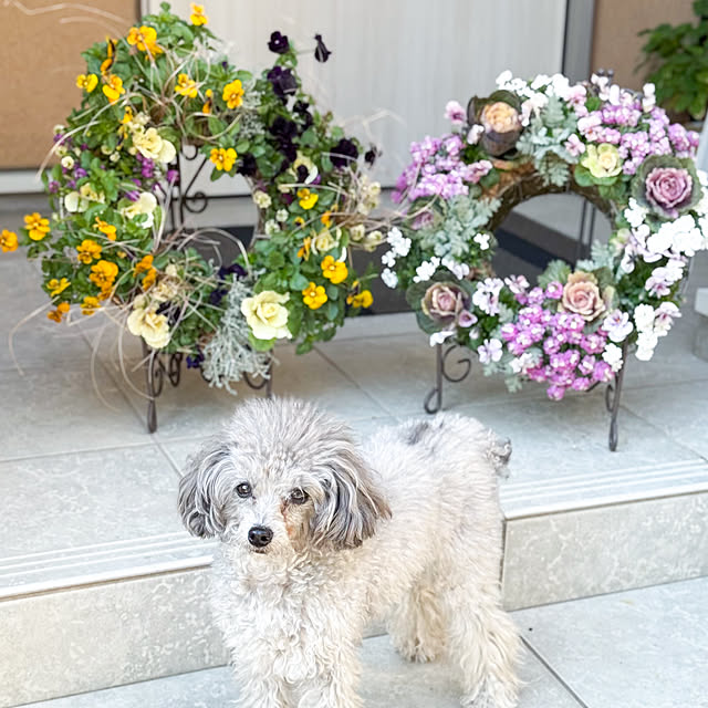 hokulonikoaさんの実例写真