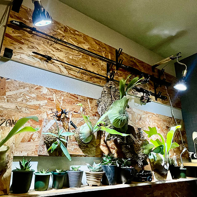 atticroom.1011さんの実例写真