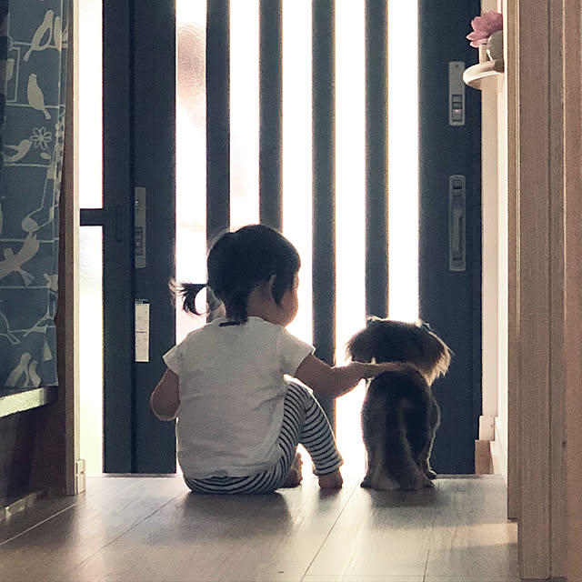 kirachipさんの実例写真
