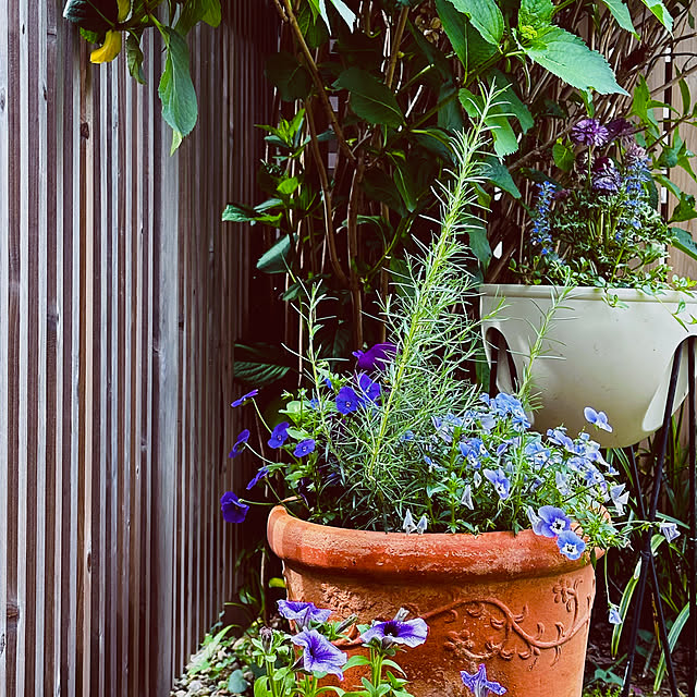 chacoさんの部屋