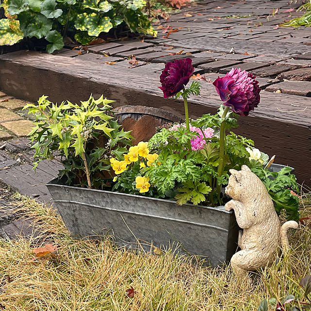 nobikoさんのお部屋の写真