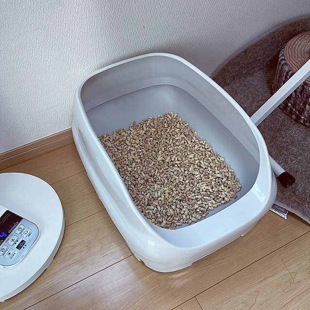 chiiさんの部屋