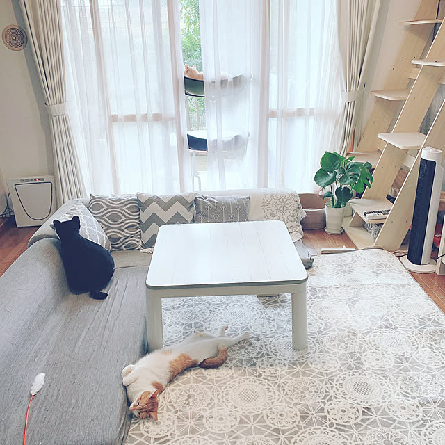 Tomoeさんの実例写真