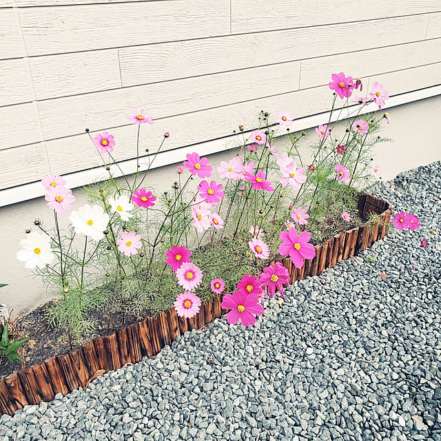 saさんの実例写真