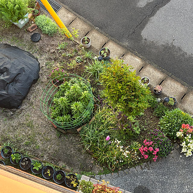 ritsukoさんの部屋