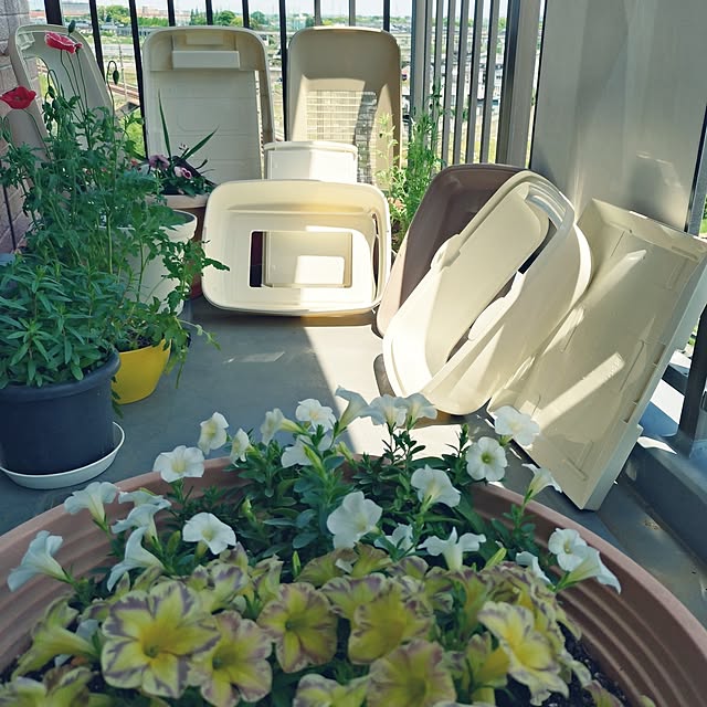 NOAHさんの部屋