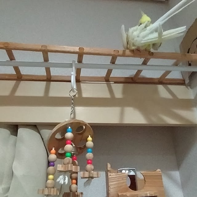 toratanさんの部屋