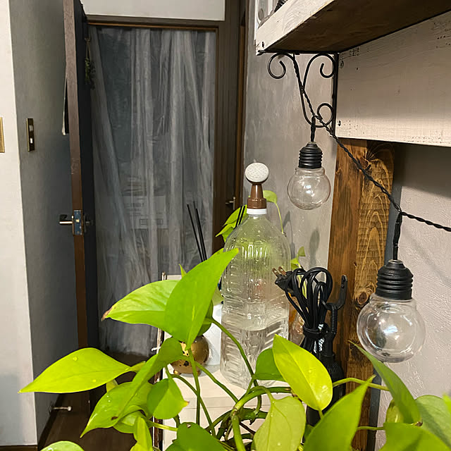 dainaoreiさんの実例写真