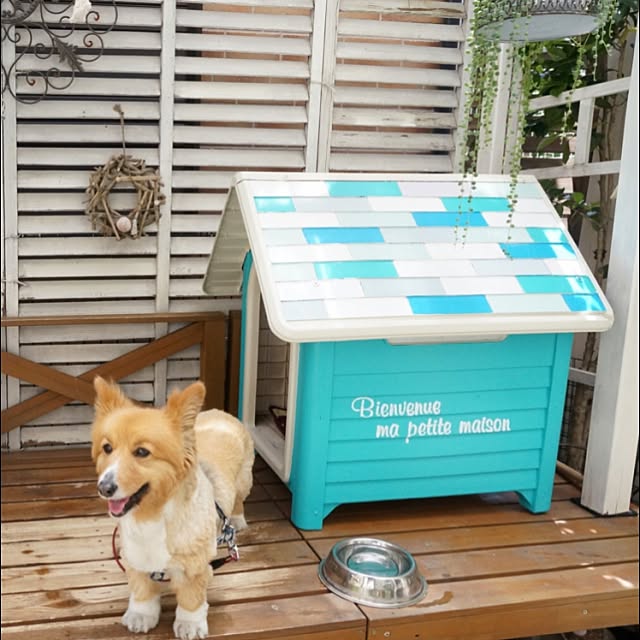 Suさんの実例写真