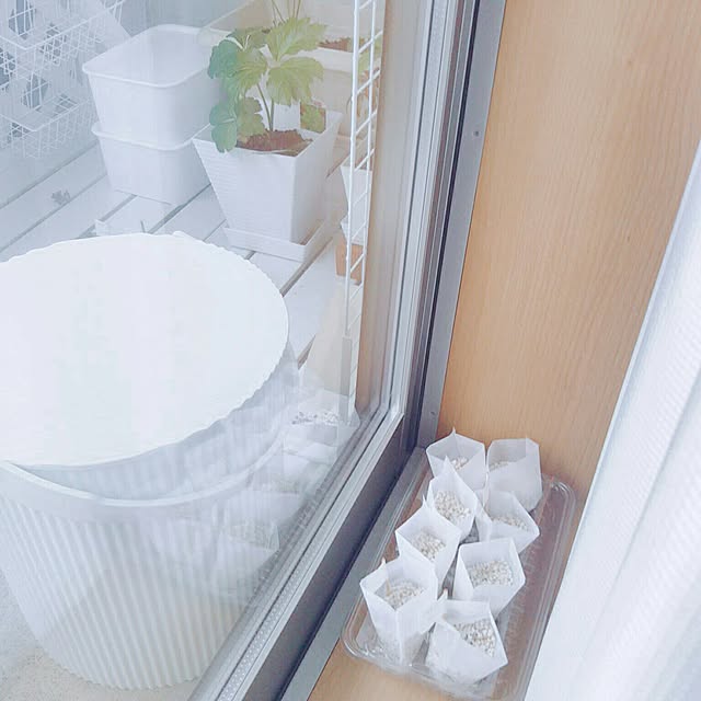 merinさんの実例写真