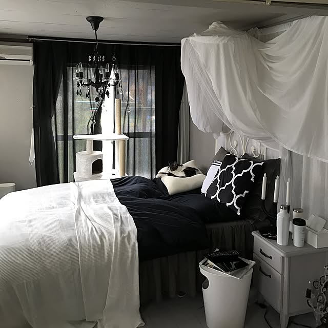 Shihoさんの実例写真