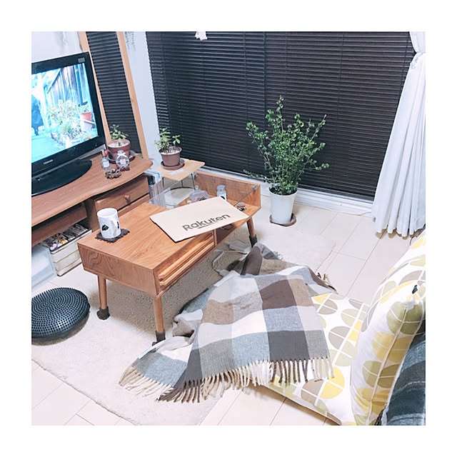 mikiteacupさんの実例写真