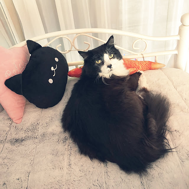 kanaさんの実例写真