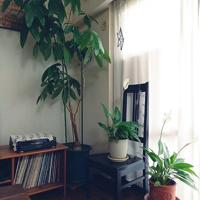 anzmama0404さんの実例写真