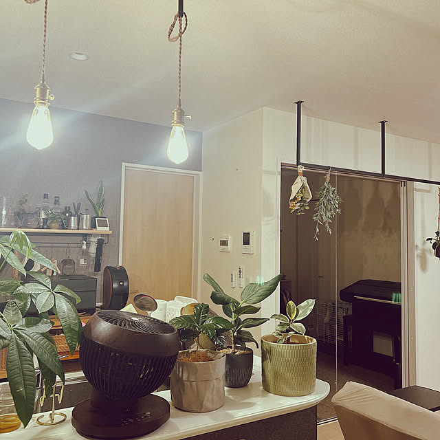 pi-popaさんの実例写真