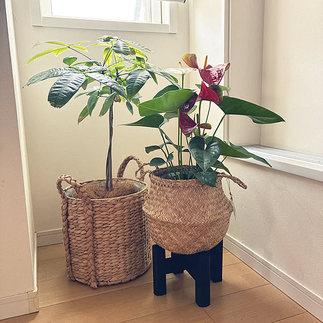 dmamaさんの実例写真