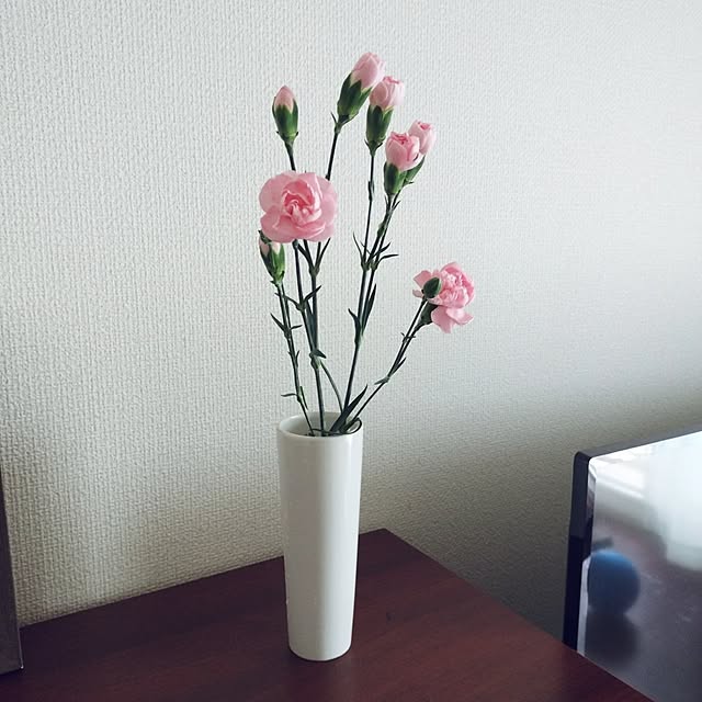 sasaさんの実例写真