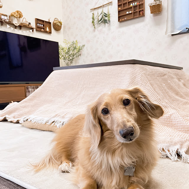 -Riley-mama.-さんの部屋