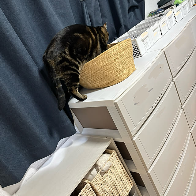Shosaさんの部屋