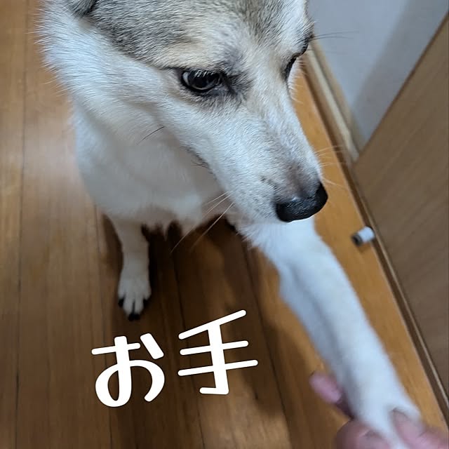 asaさんの部屋