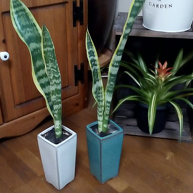 mariagardenさんの実例写真
