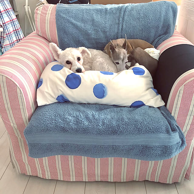 suzyさんの実例写真