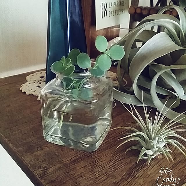 Minaharuさんの実例写真