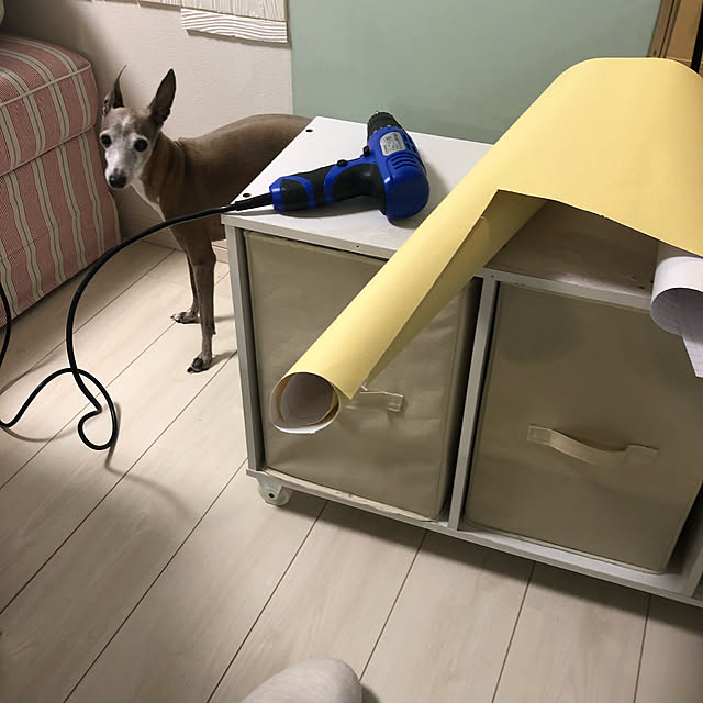 suzyさんの実例写真