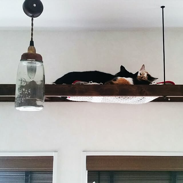 nekogurumaさんの実例写真