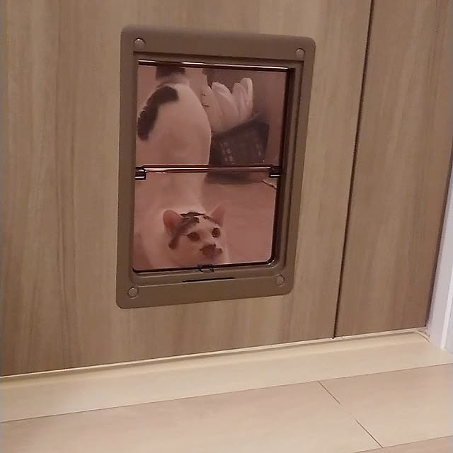 kumiさんの実例写真