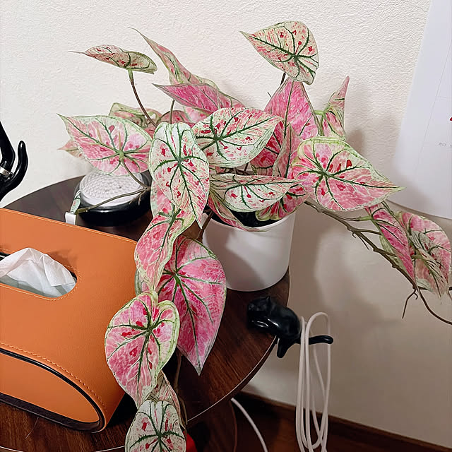 mipoさんの部屋