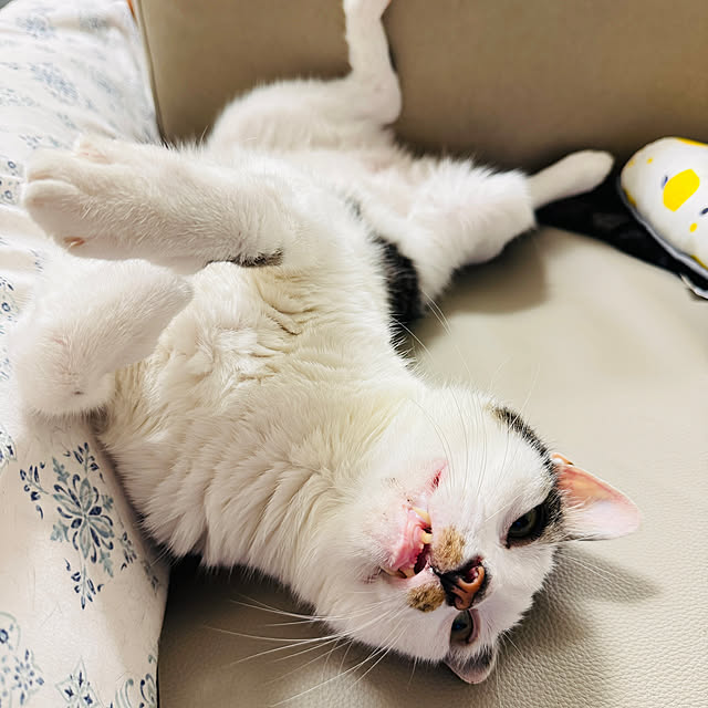 pcu110さんの部屋