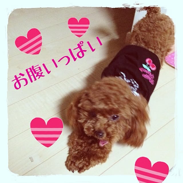 cocoさんの実例写真