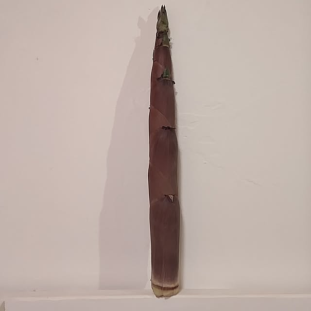 t.yumiさんの部屋