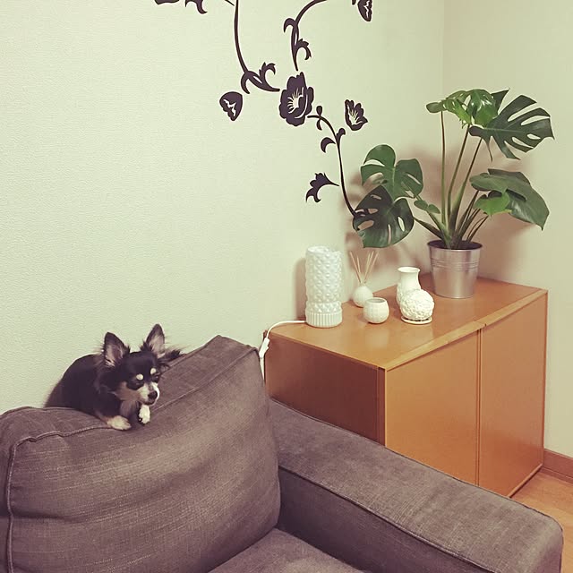 ariazuさんの実例写真