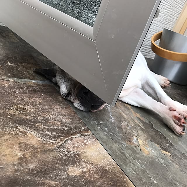 misamariさんの実例写真